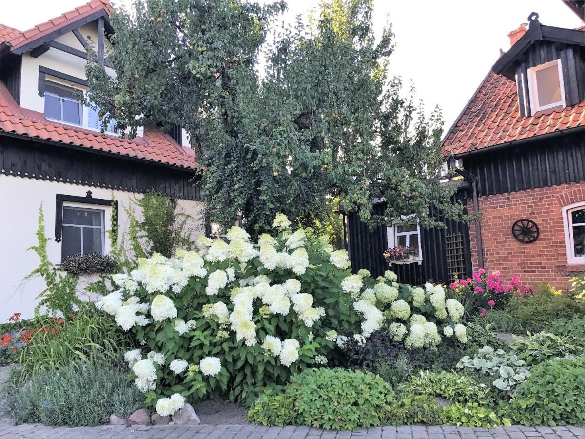 Andrzejowka Villa