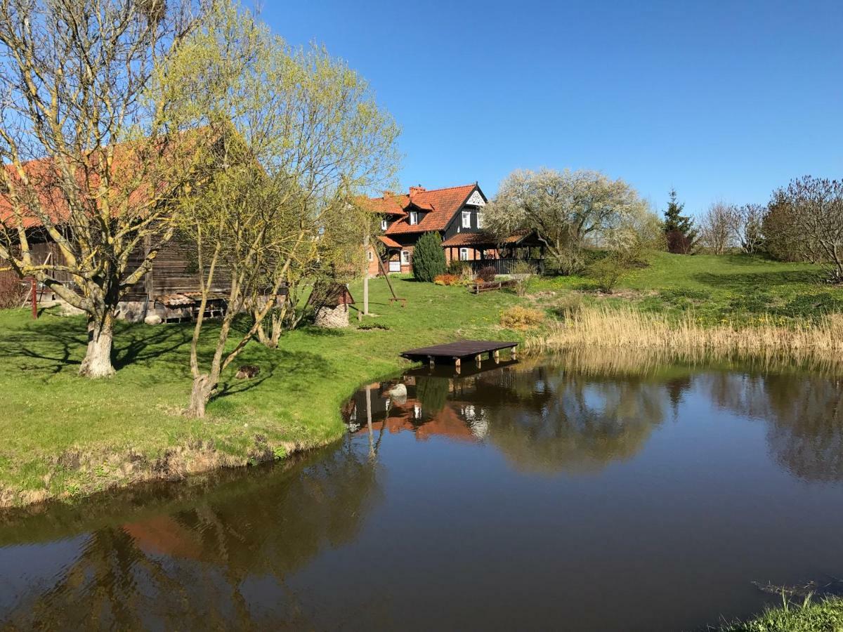 Andrzejowka Villa *