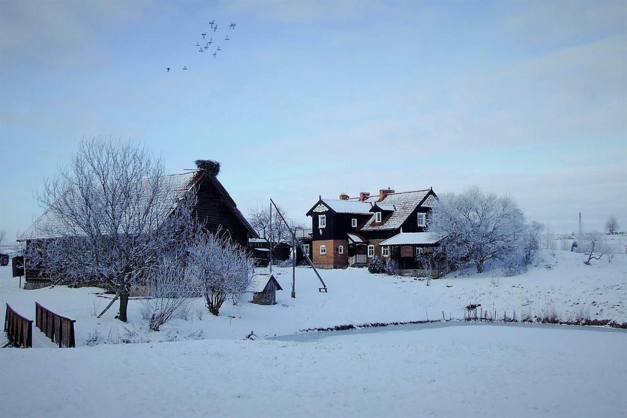 Villa Andrzejowka *