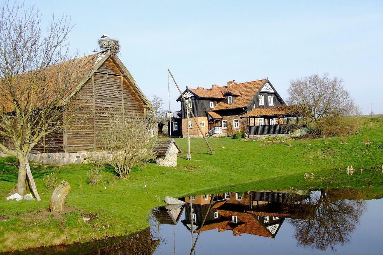 Andrzejowka