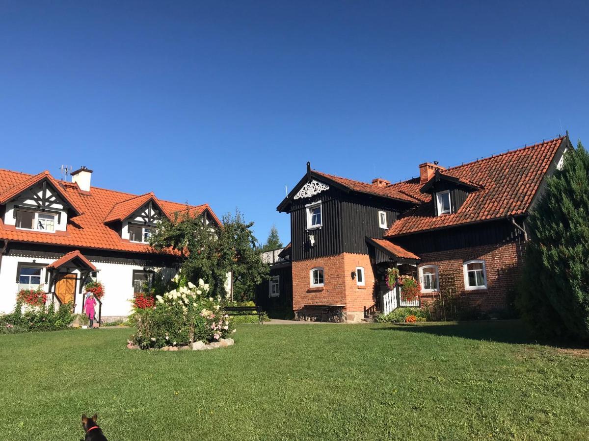 Andrzejówka * Borowe