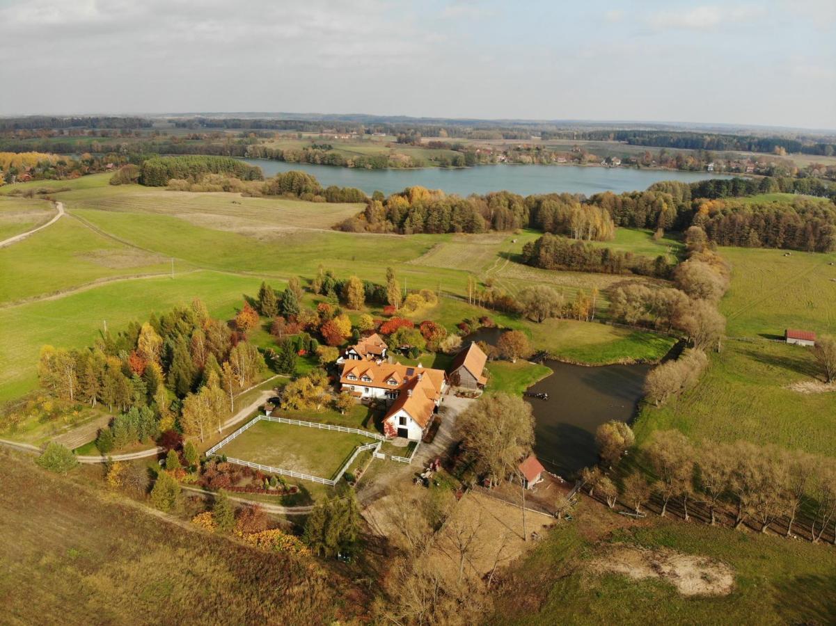 Villa Andrzejowka Borowe